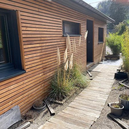 Joli Logement Avec Terrasse La Cigale 6 A 8 Personnes Orbey Eksteriør billede