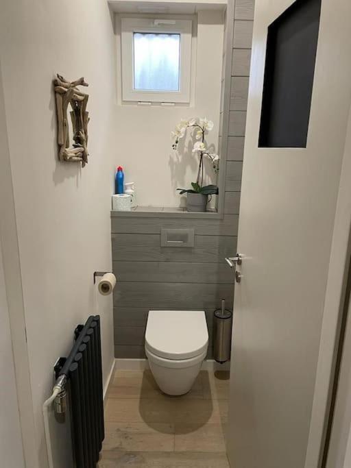 Joli Logement Avec Terrasse La Cigale 6 A 8 Personnes Orbey Eksteriør billede